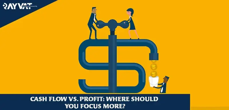 Cash Flow vs. Profit