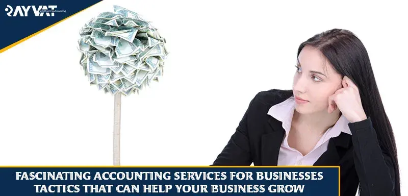 Accounting Services for Businesses