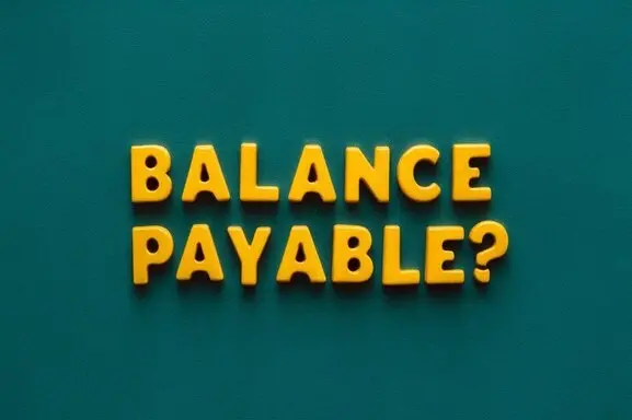 Does Accounts Payable Appear On The Balance Sheet